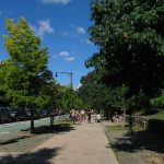 people walking together along a park path in the morning