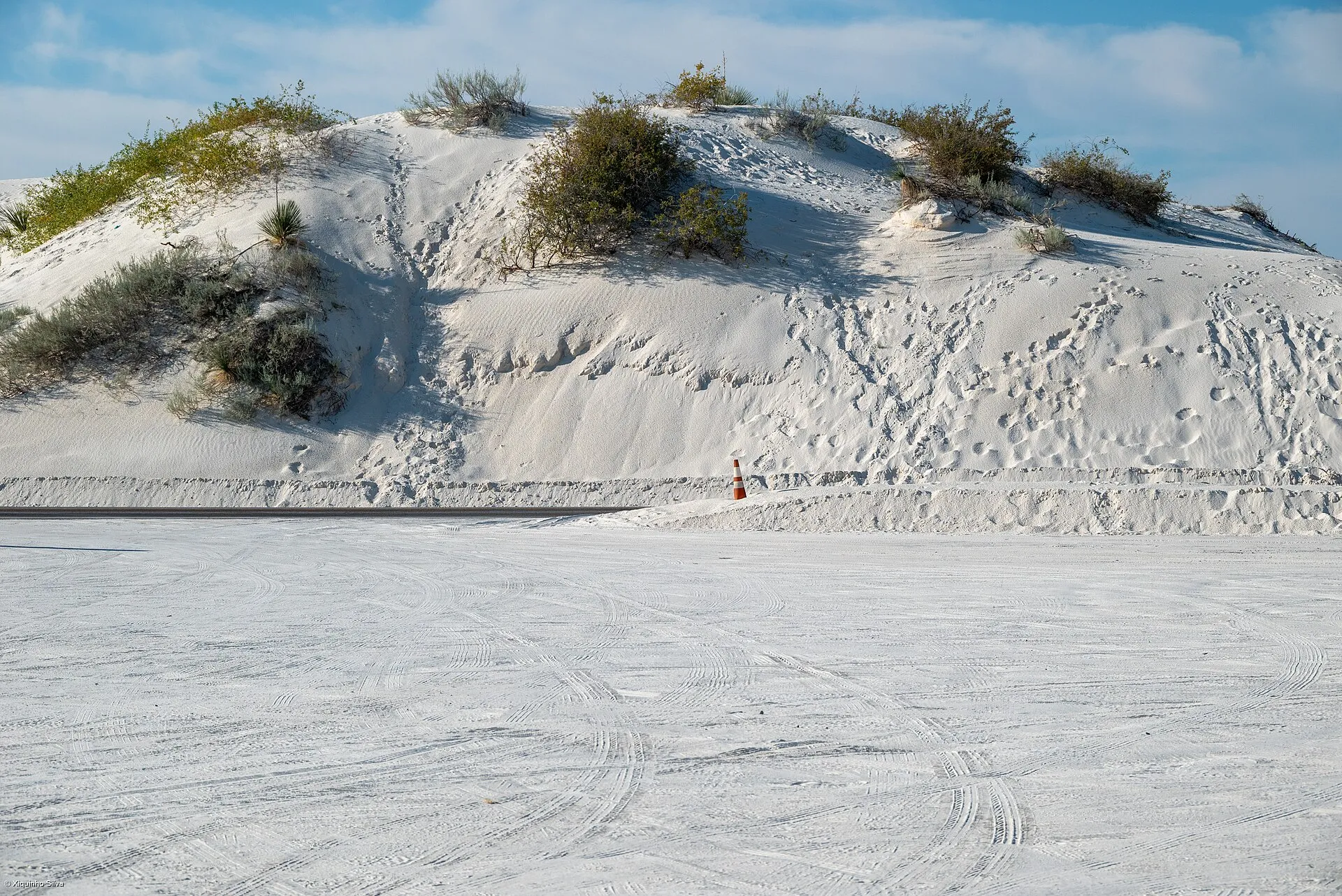 A sweeping view of the White Sands desert in New Mexico, where Ice Age communities adapted to abrupt change.