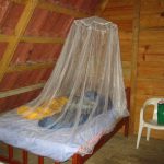 A mosquito net over a bed