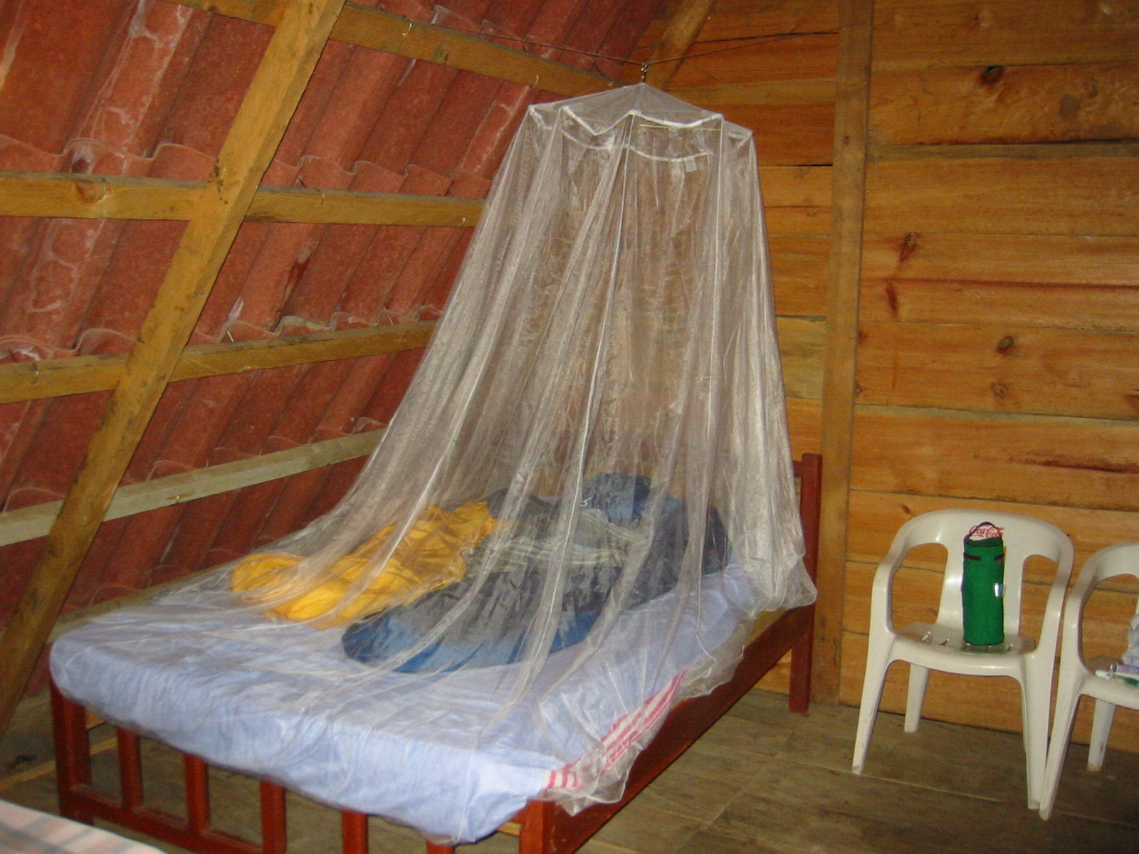 A mosquito net over a bed